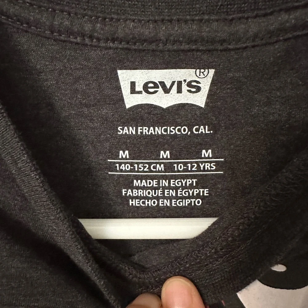Levi's Kids Charcoal Tee with Red Graphic